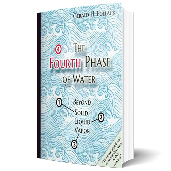 The Fourth Phase of water