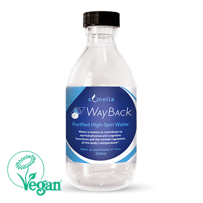 CH042-Wayback water 250ml