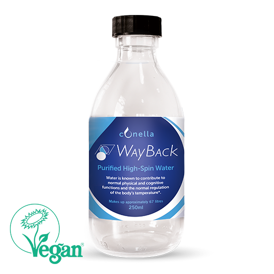 CH042-Wayback water 250ml