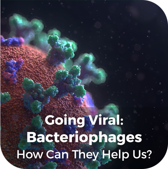 Picture of Bacteriophages - How Can They Help Us