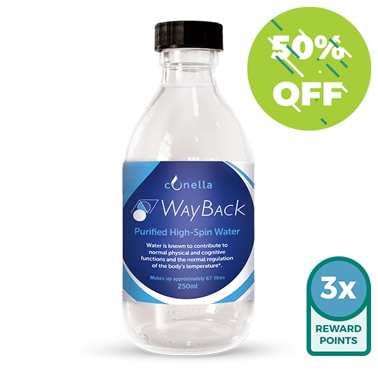 Wayback - High Spin Water 250ml
